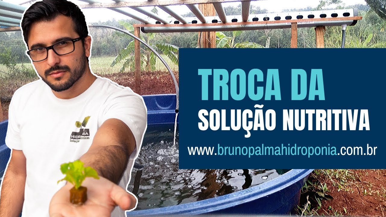 Troca da Solução Nutritiva - Hidroponia