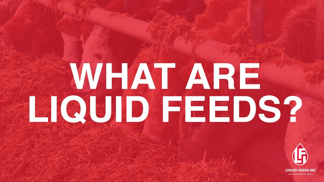 What are Liquid Feeds? | Liquid Feeds Inc