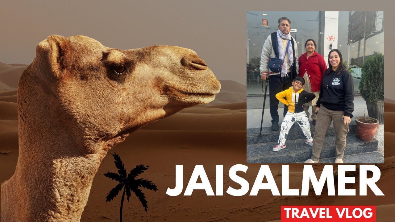 Jodhpur Mehrangarh Fort to Jaisalmer Dance Night!🚀Family Rajasthan Vlog #rajasthantravel #jaisalmer 