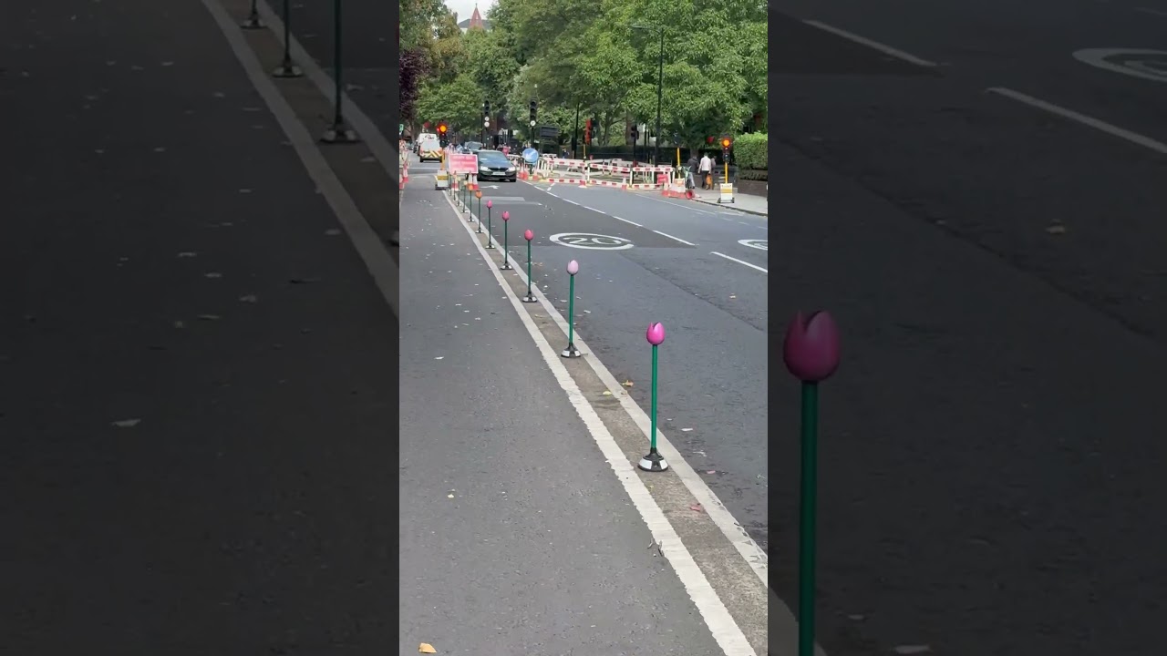 Flowers in the road 