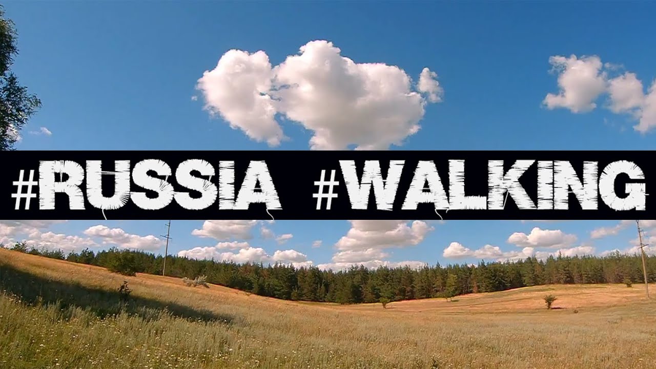 /Passeio rural da Rússia/ Прогулка в лесополосе. Волгоградская область.#volgogrado #rússia #russos