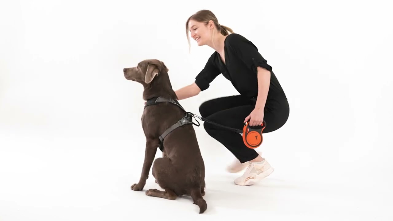 Master the Walk: How to Use Your Flexi Retractable Leash Like a Pro