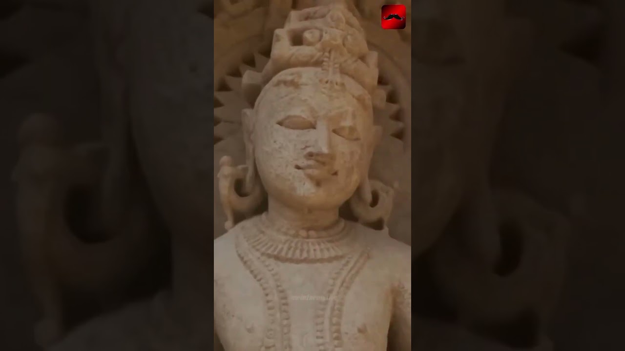 amazing india