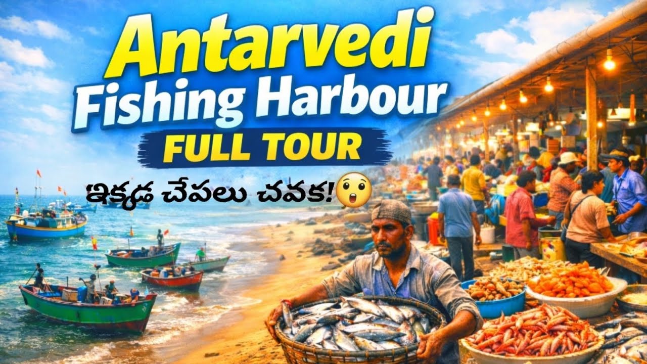 అంతర్వేది Fishing Harbour 😲 Secrets | చేపల వేలం OMG😱Full Tour #FishingHarbour #Seafoodexport #Beach
