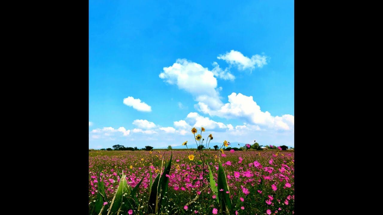 [free] ambient type beat 