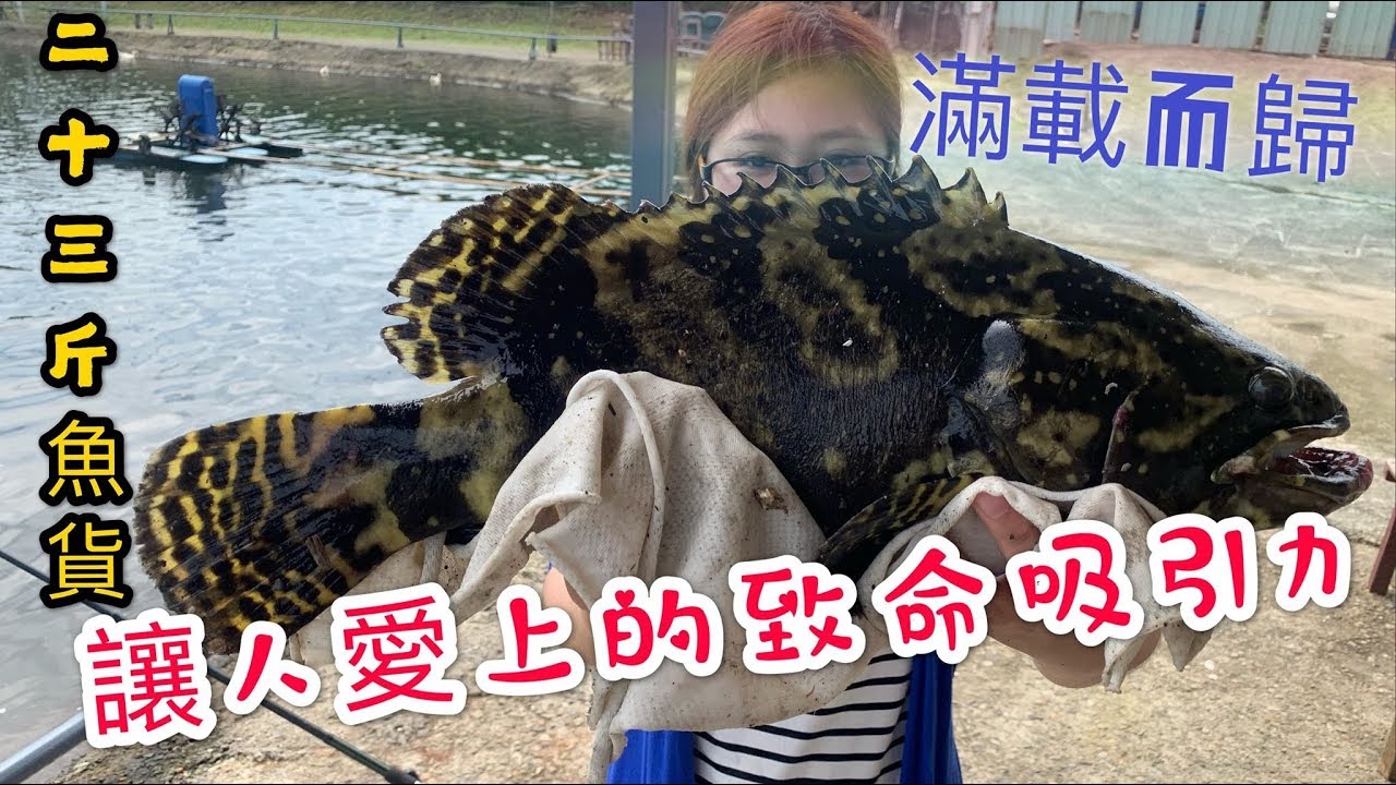 【 逆刃海釣場Ep05】魚一直上鉤!釣不停~這海釣場爆咬 隨便拉都有23斤魚貨  文末抽小繼竿 新竹金禾海釣場 龍虎斑 紅杉 金目鱸紅山