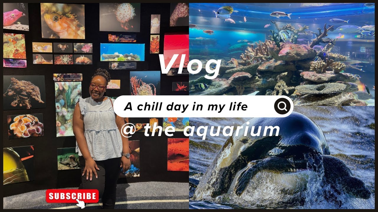 A day at the aquarium @twooceansaquarium 