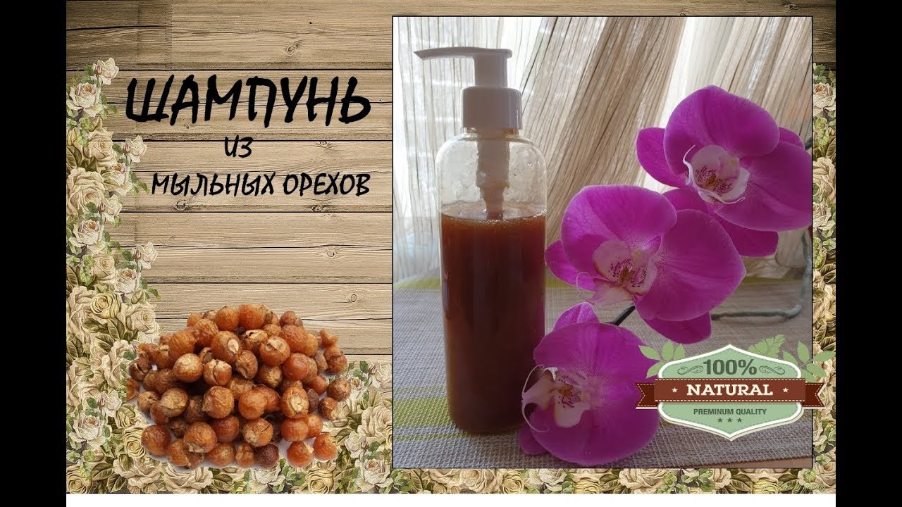 Шампунь  из мыльных орехов, как сдлать, впечатления, нюансы изготовления