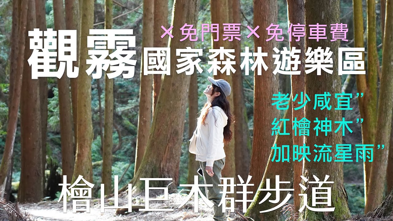 2025觀霧國家森林遊樂園