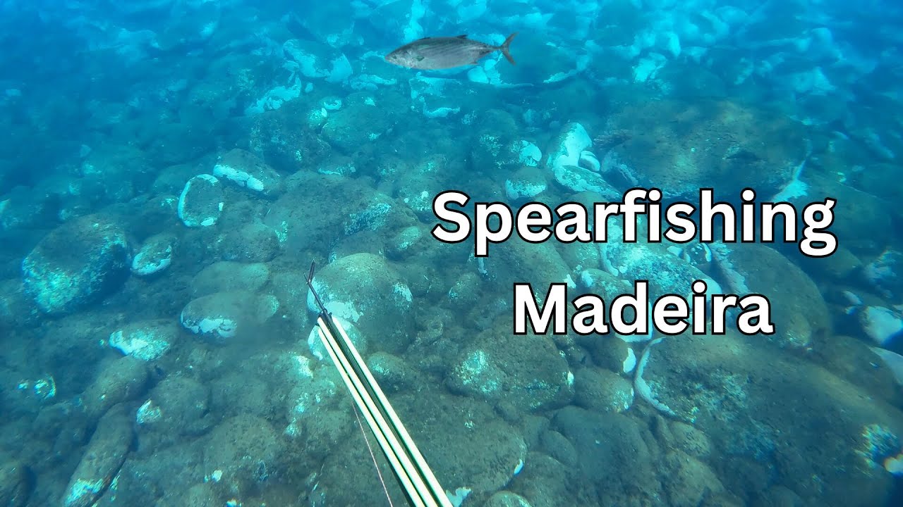Spearfishing in Madeira 2025 - Spring Vlog