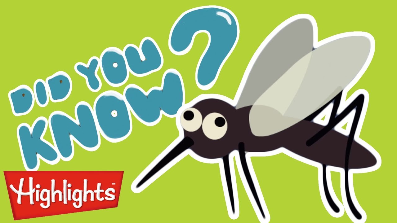 Did you know this about mosquitoes? | Highlights Kids | Full Episode | Kids Videos