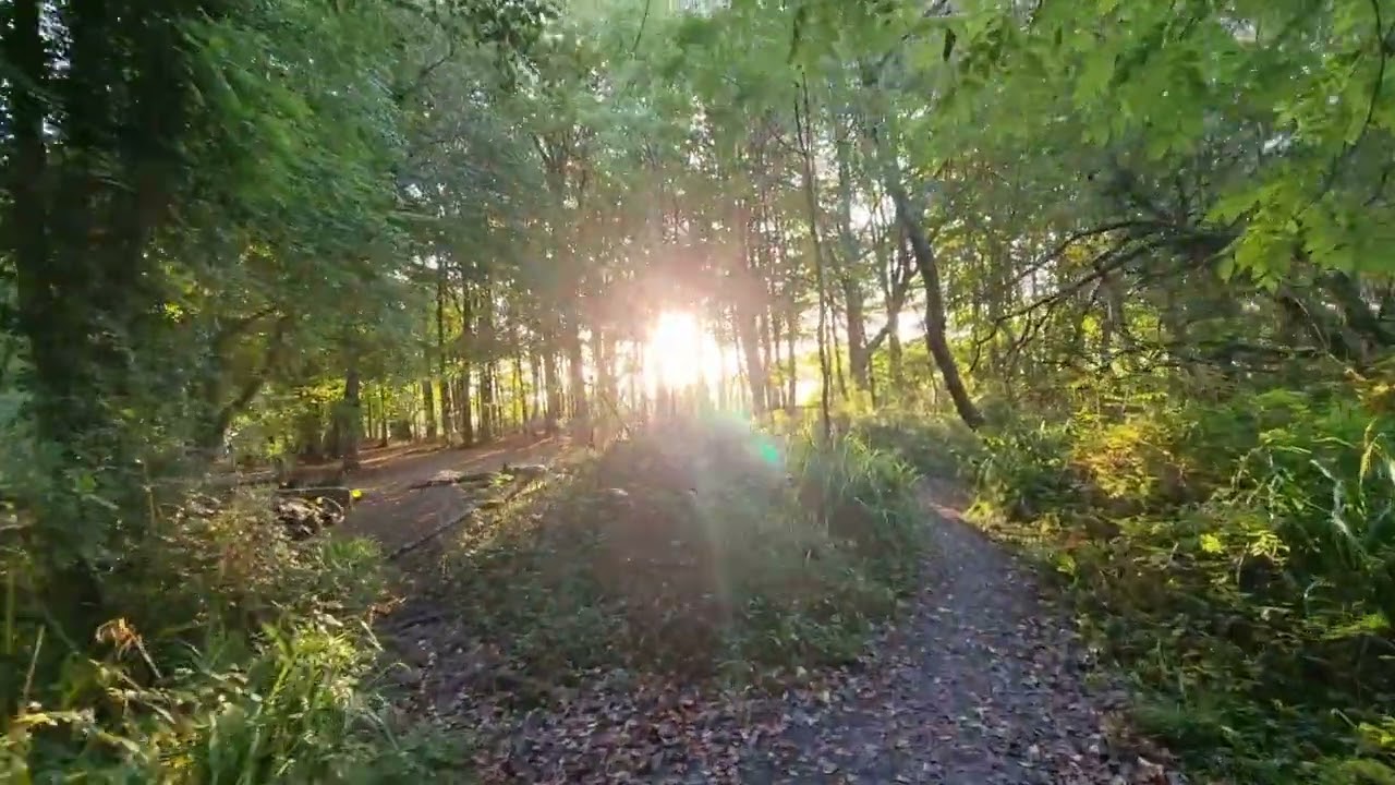 Tehidy Country Park . Cornwall
