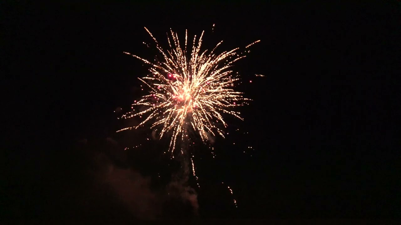 288 SHOT WHAT YA GONNA DO  - FOR THE HULKSTER