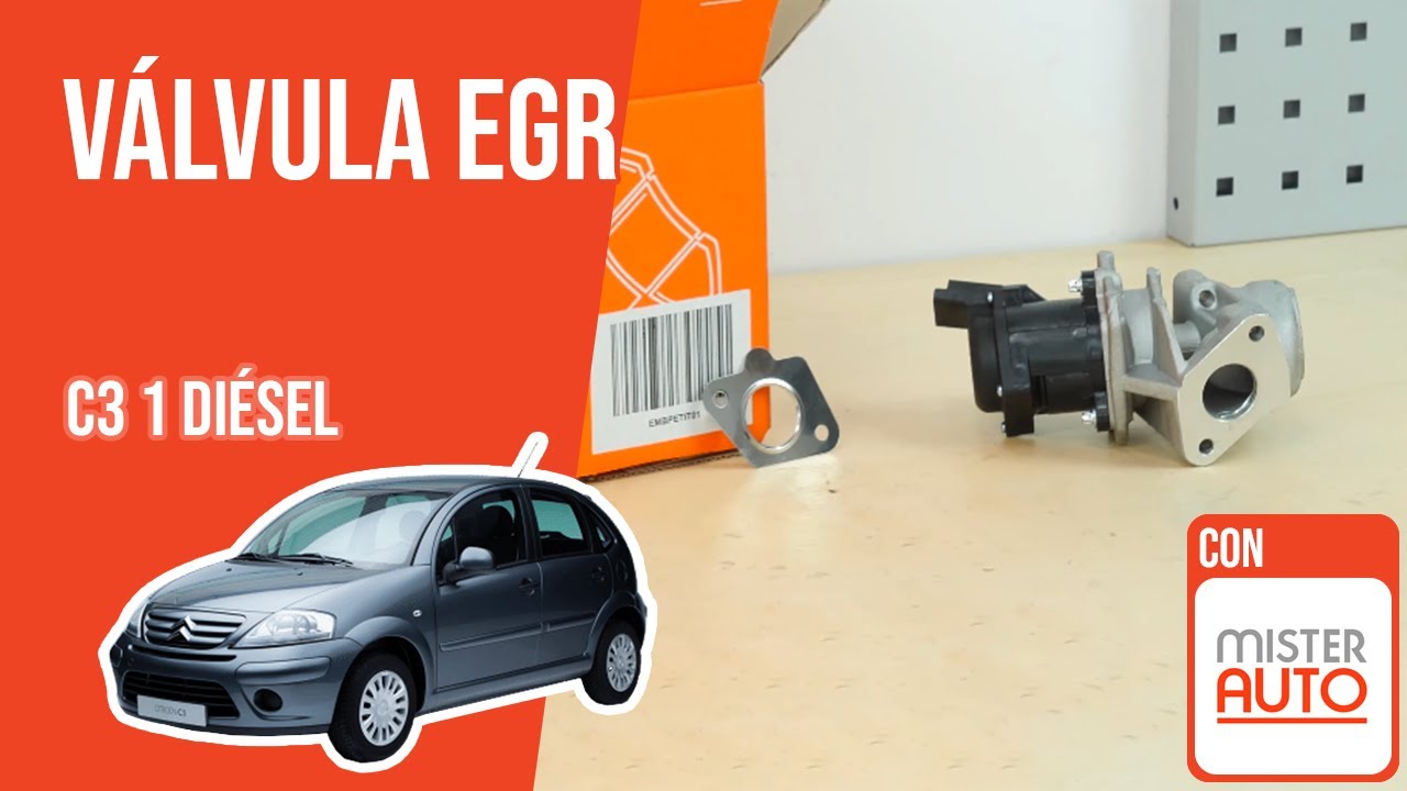 Cómo cambiar la válvula EGR Citroën C3 1 1.4 HDI ♻️