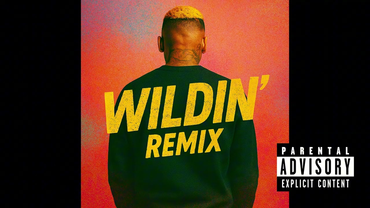 Chris brown- Wildin remix