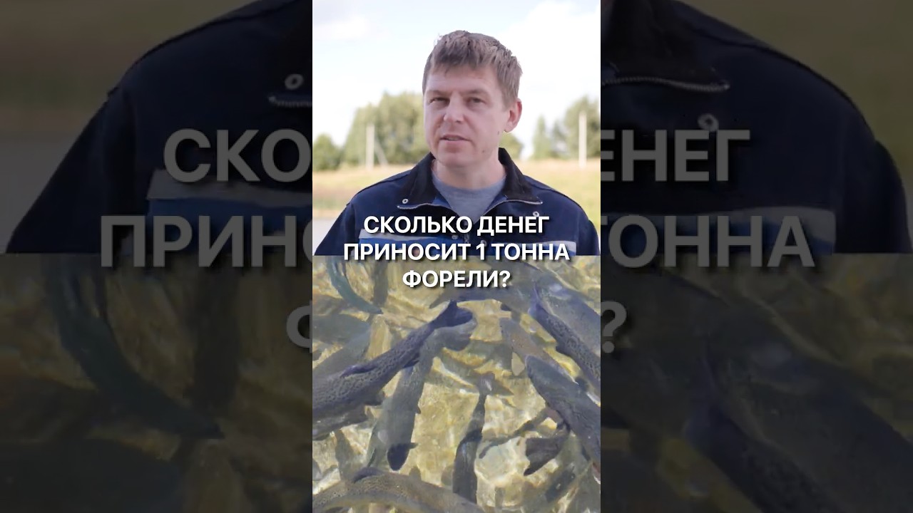 Сколько денег приносит 1 тонна форели? Эти цифры тебя удивят!  #рыбалка  #рыба #узв #бизнес