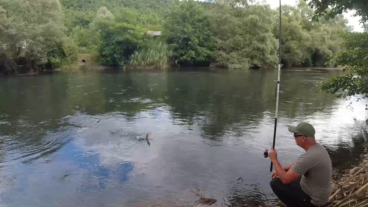 🎣 „Бојникот лудува – удира на секое фрлање!“ 🐟 Nase Frenzy – Biting on Every Cast! #риболов #bojnik