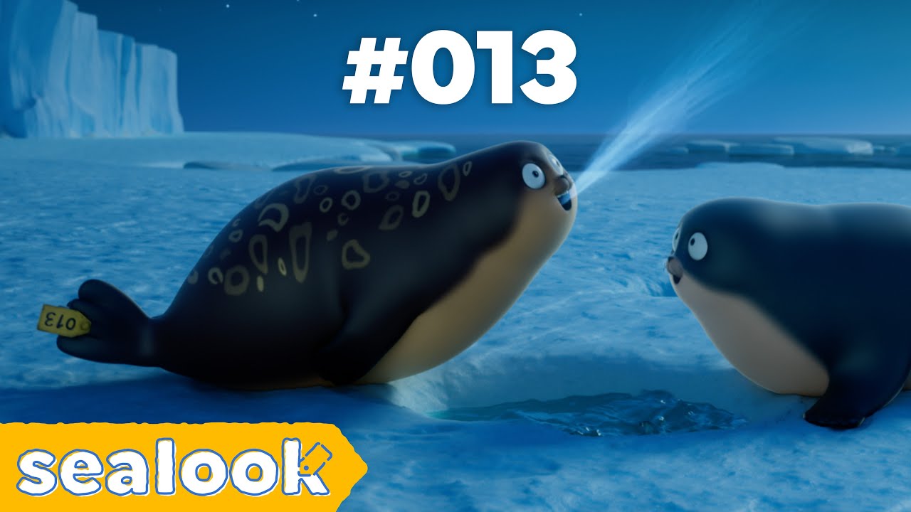 All of #013ㅣ🎤Choco Seal Nailed All the Stage!ㅣSEALOOK Compilation