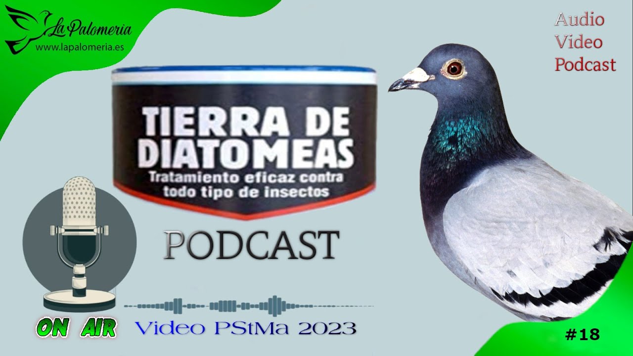 Desinfección del Palomar Tierra de Diatomeas