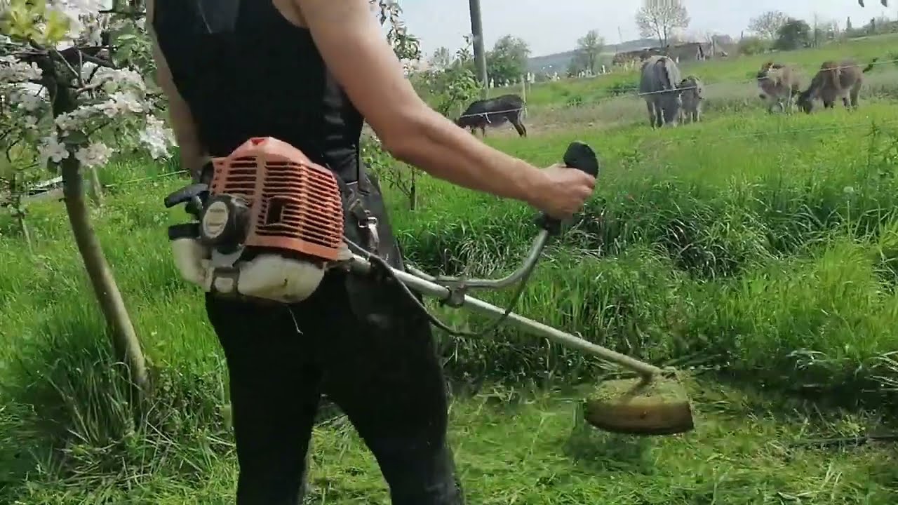 Am Cosit între pomi în grădina cu motocoasa Ruris