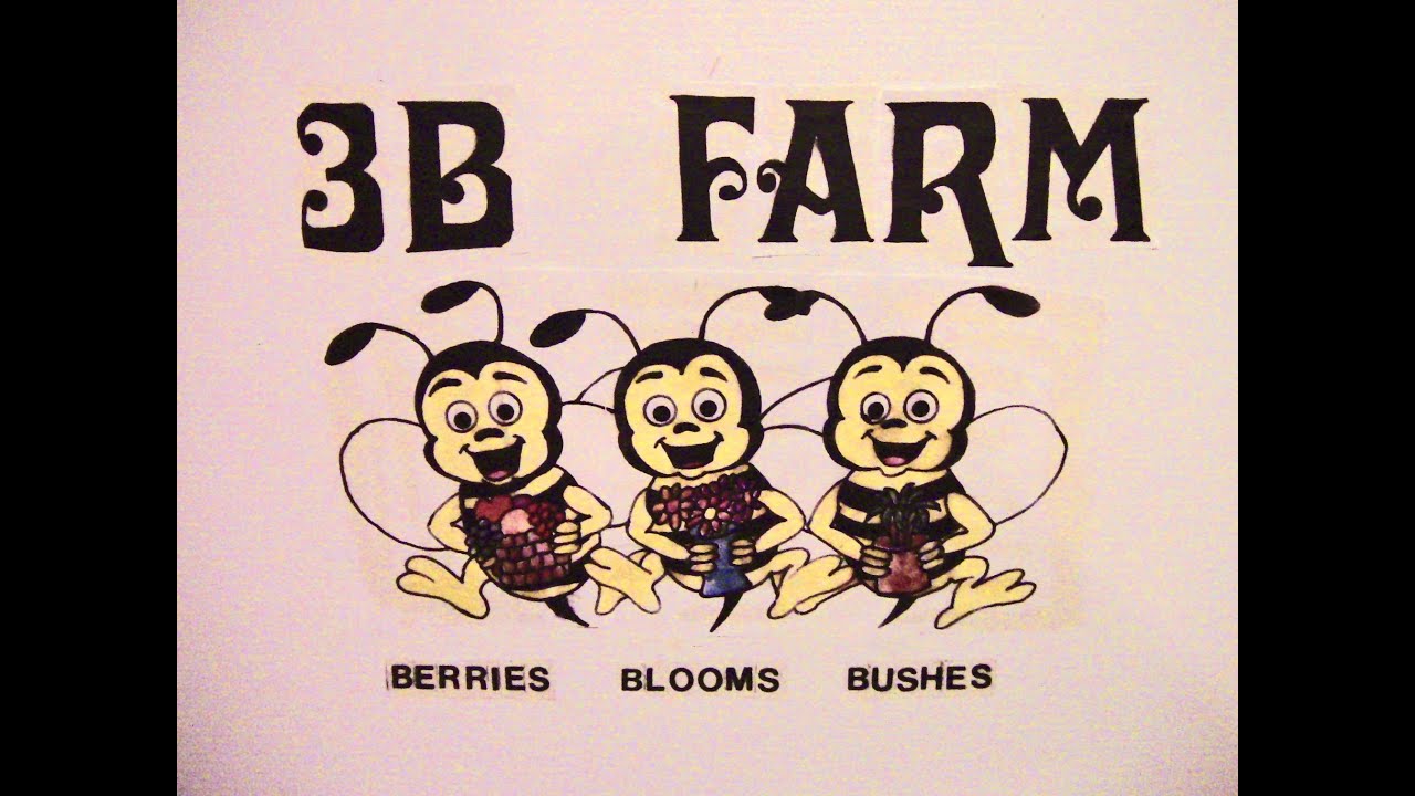 3B Farm update 10
