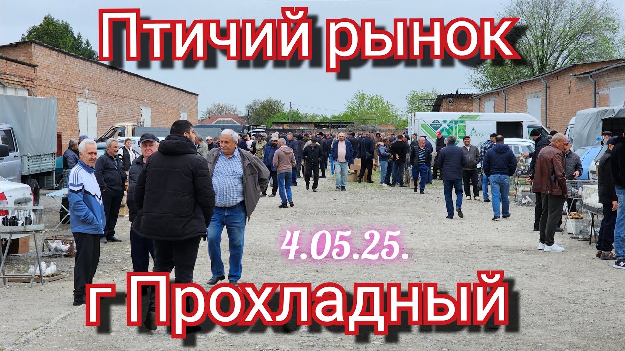 Голуби цены Птичий рынок г Прохладный