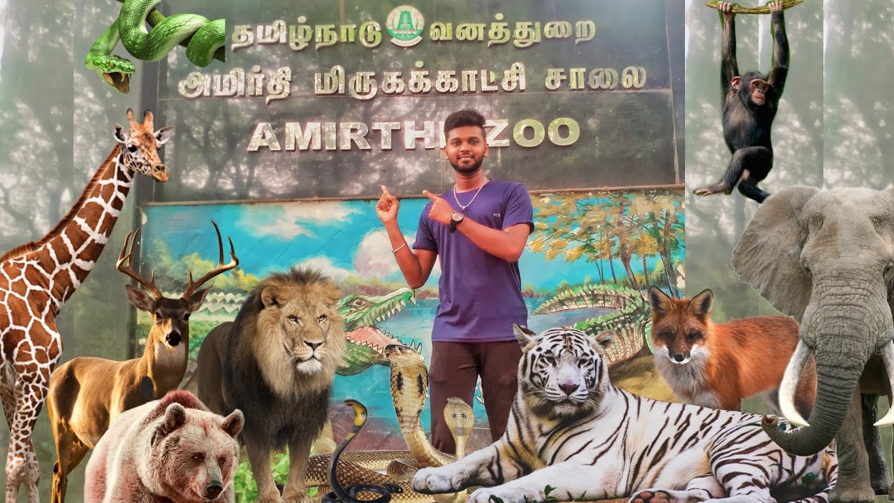 வேலூர் அமிர்தி Forest and waterfalls to Amirthi zoo park | Fun AndEntertainment