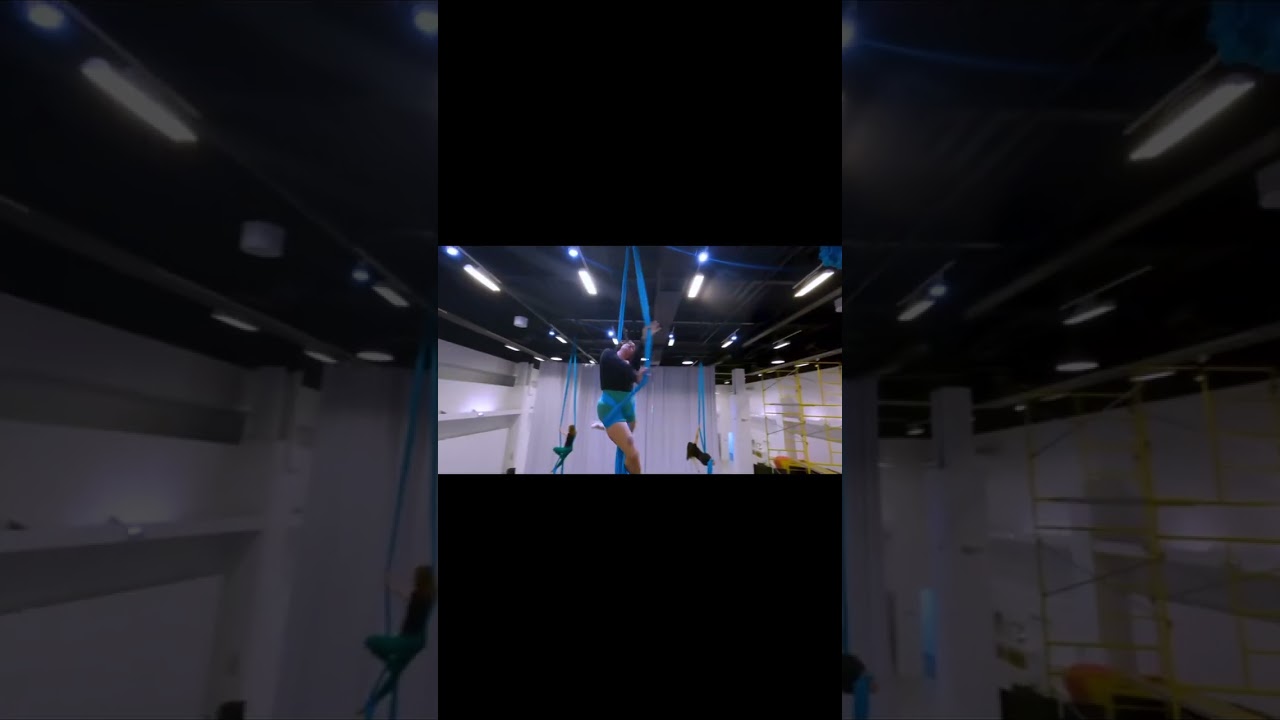 The Aerial Studio