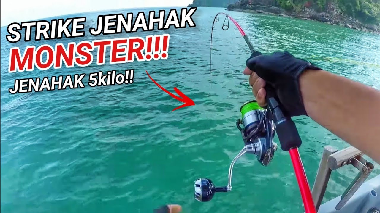 Strike JENAHAK MONSTER!!! ( Saiz Hampir 5kg! )