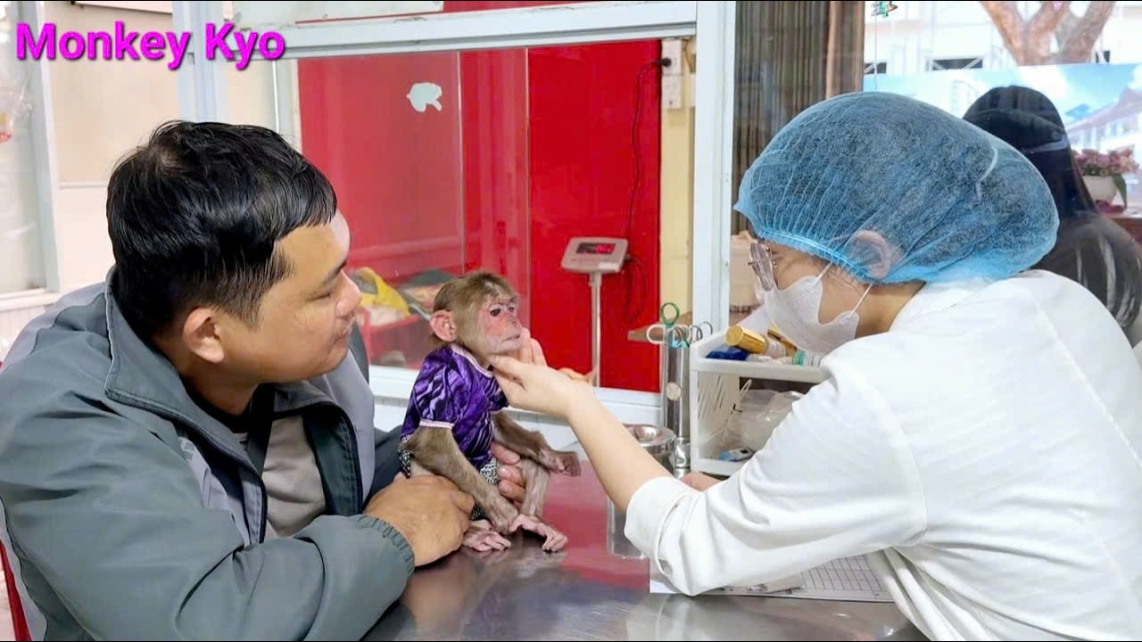 What happened to Kyo?! Dad rushed her to the doctor!