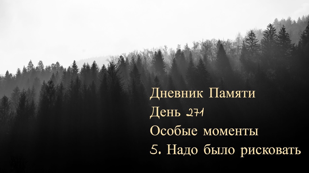 Дневник Памяти. День 271. Особые моменты. 5. Надо было рисковать