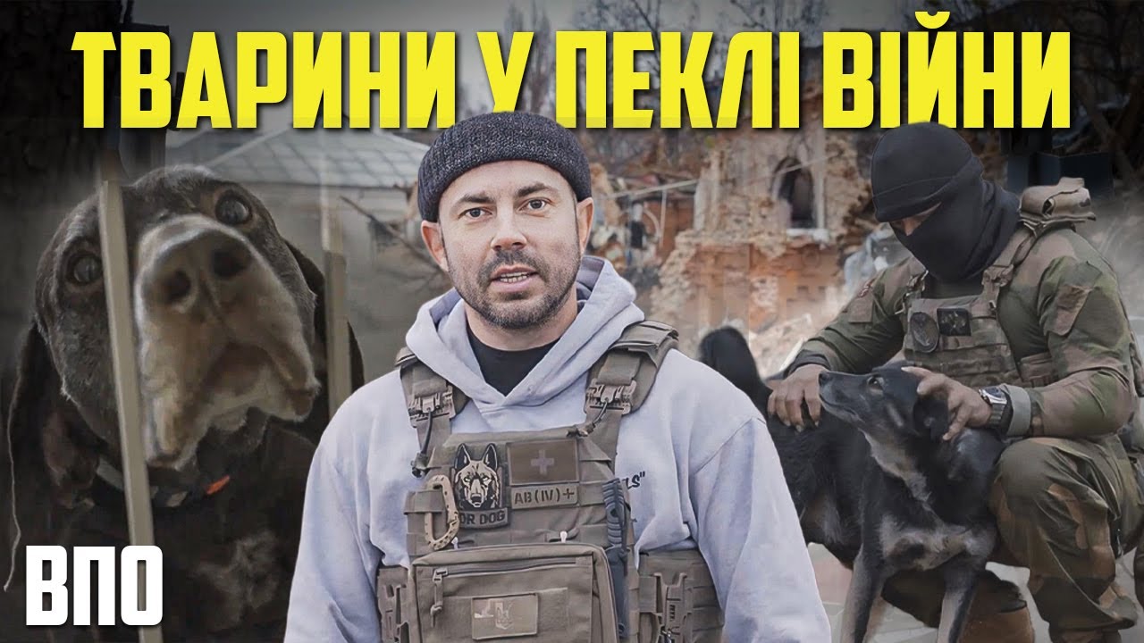 ОСТАННІЙ ШАНС НА ПОРЯТУНОК⚡Евакуація тварин під вогнем @Андрій Бєдняков