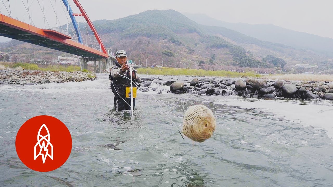 Perfecting Korea&rsquo;s Old-Fashioned Fishing Technique