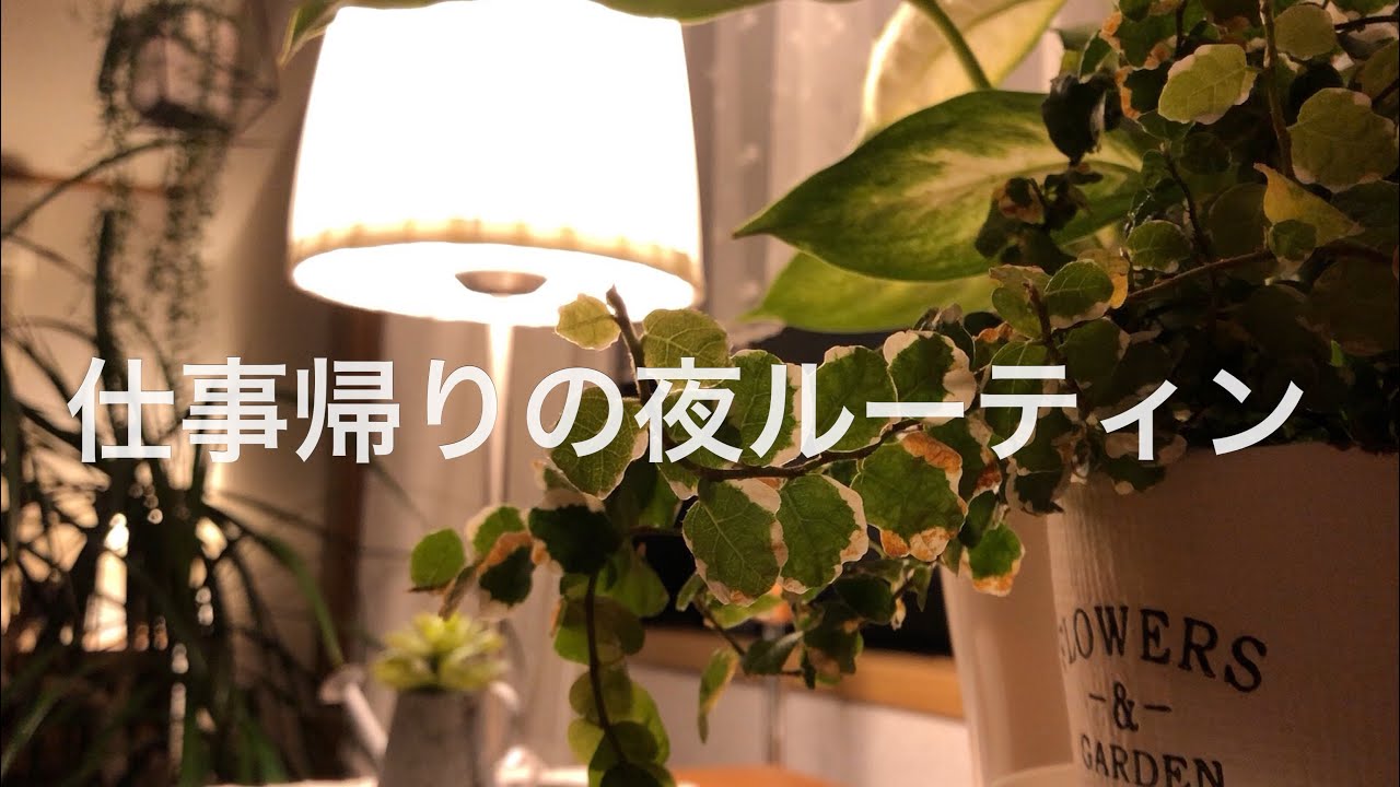 【night routine】仕事から帰宅した日の夜ルーティンです【アラフォー母】