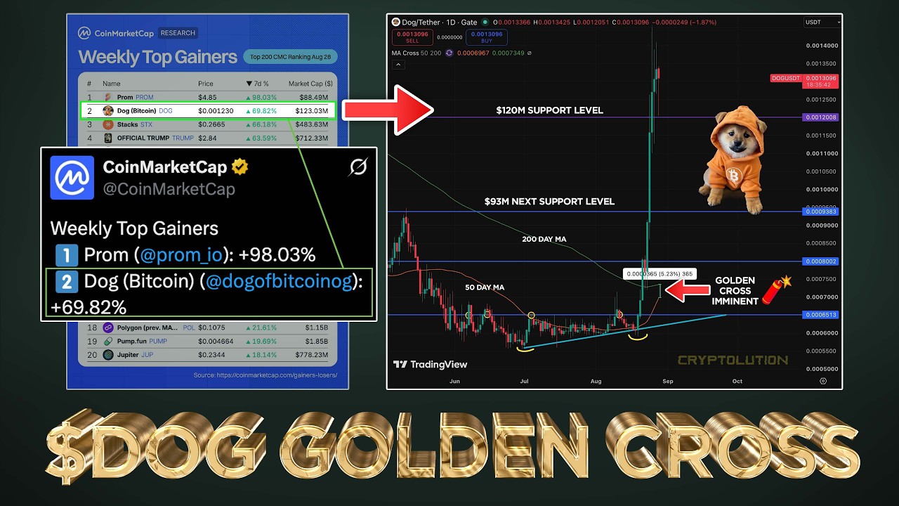 $DOG GOLDEN CROSS COMING 🧨 (Good or Bad?)