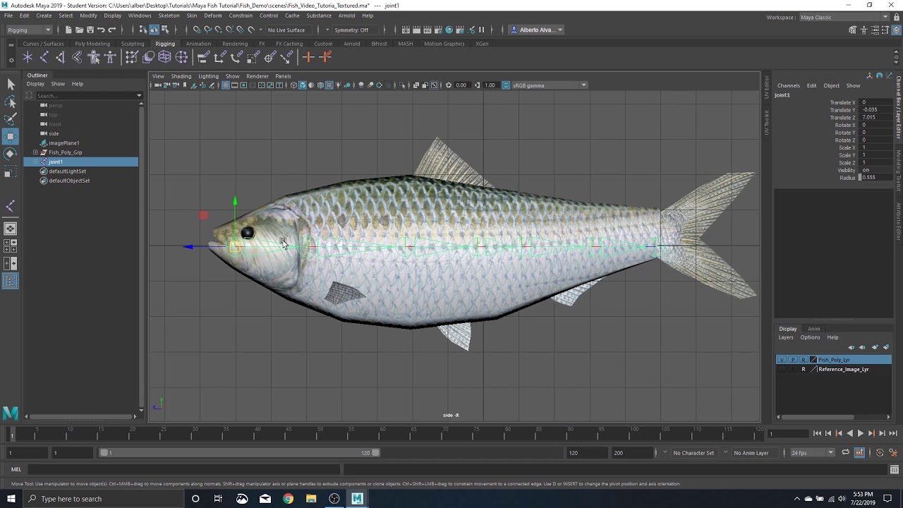 Maya Fish Tutorial Part 4 Rigging and Animating