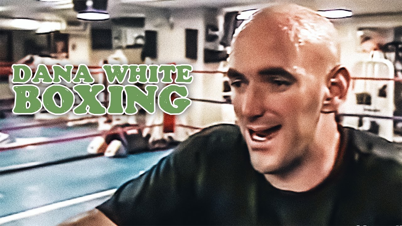 DANA WHITE'S BOXING SPARRING AND TRAINING | BAD BLOOD DOCU