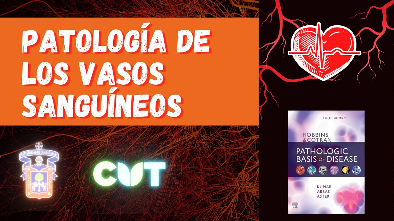 Patología de los vasos sanguíneos - curso 2022A