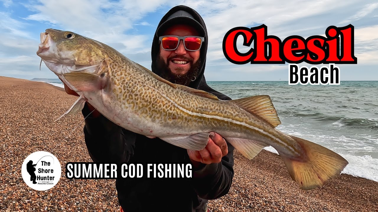 COD Fishing, UK Beach, Chesil Beach. The Shore Hunter, Wayne Hand.