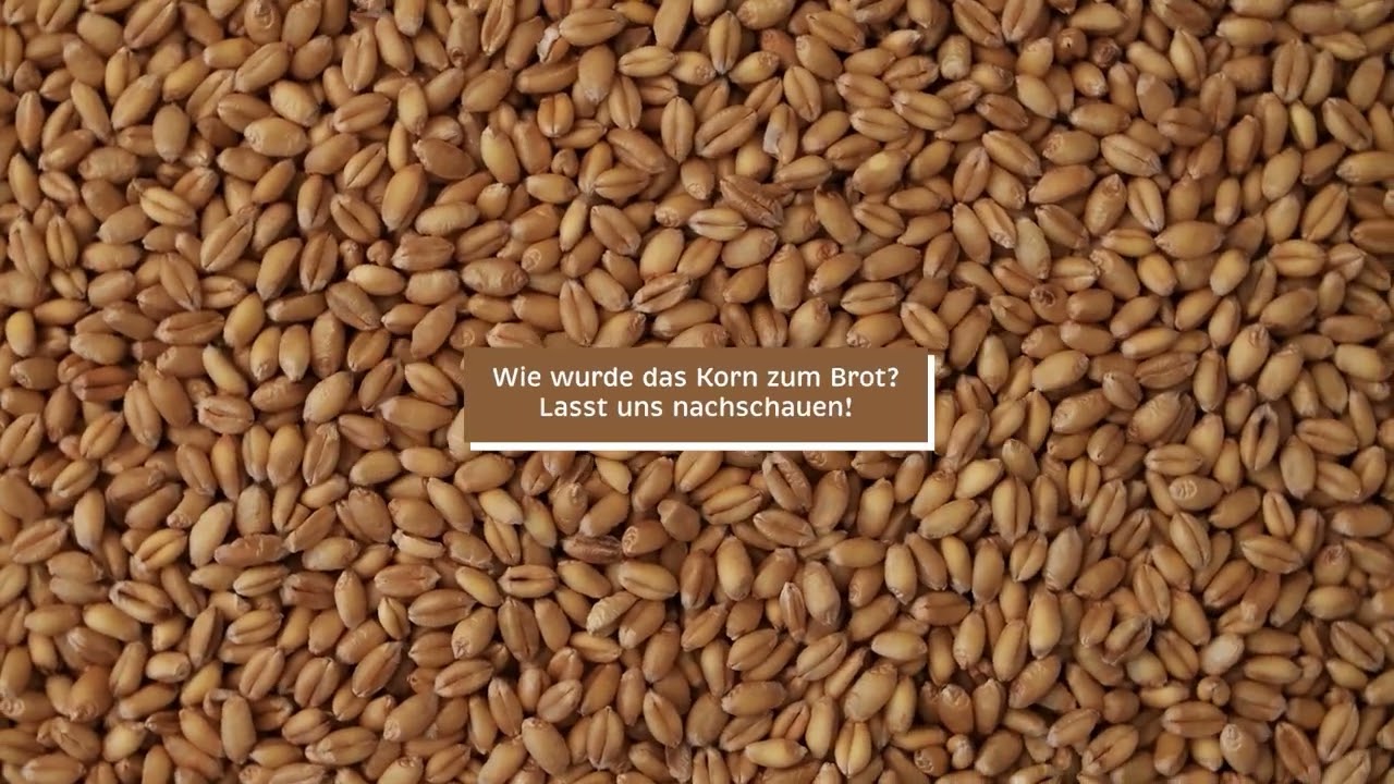Erklär-Film "Vom Korn zum Brot früher" (Vorschau)