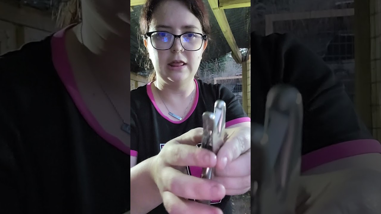 How To Wing Day A Day Old Chick With Jiffy Wing Band