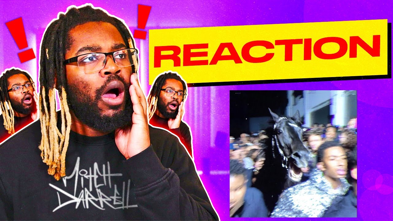 indie tribe - NO MATTER WHAT (Reaction)