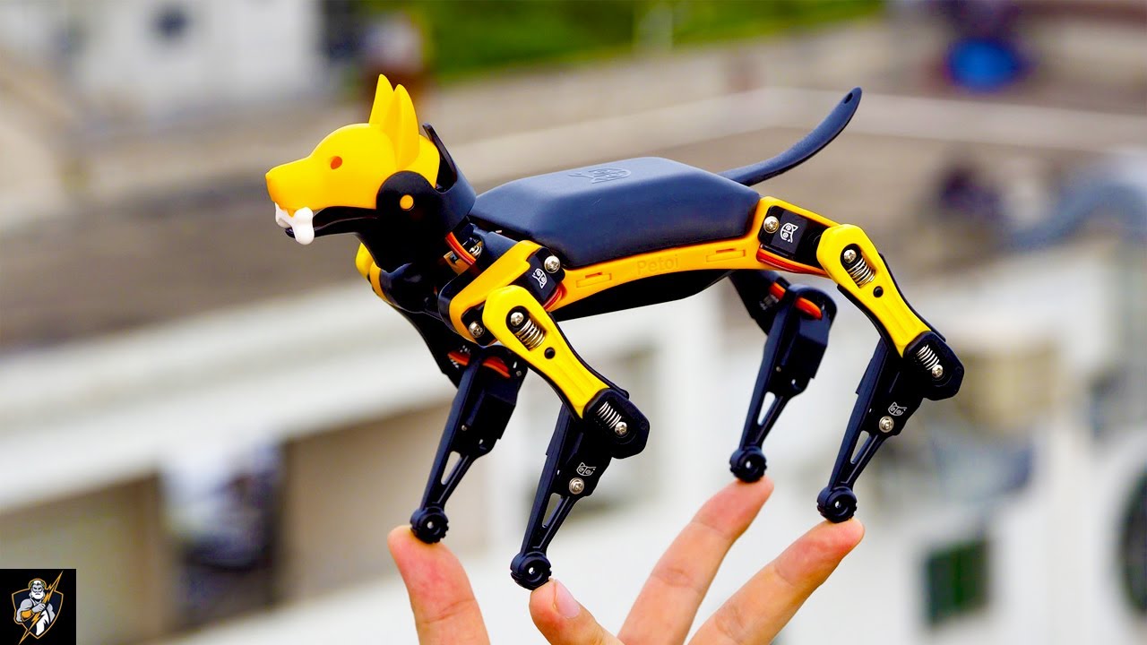 5 Best Health & Multi Tool GADGETS from FUTURE #3