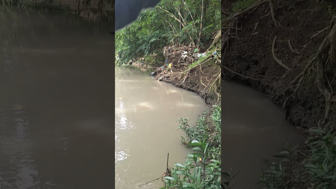 Kejadian Aneh Ketika Saya Mancing | Mancing Liar | Mancing Melem | Mancing Nilem | Wader Mania