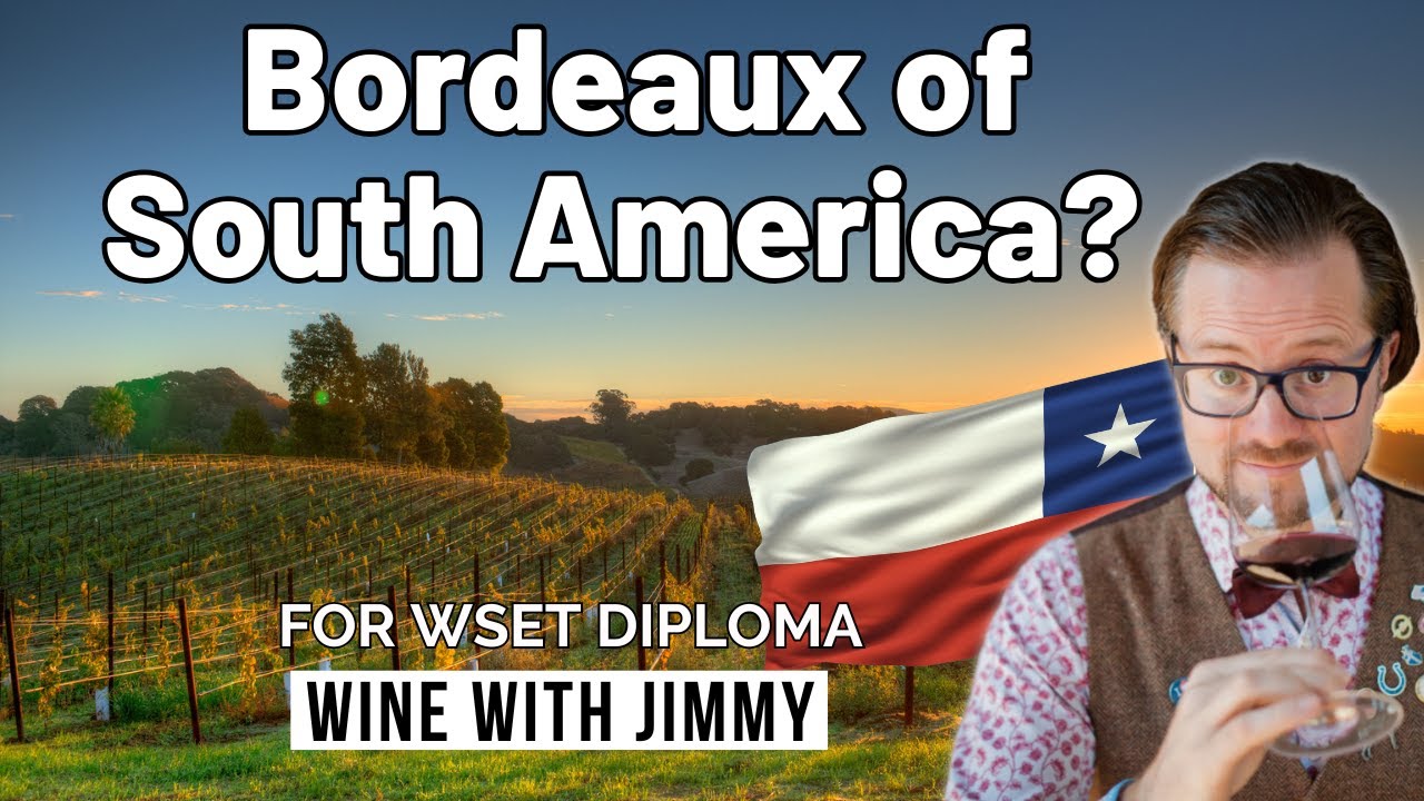 Maipo Valley & Chile’s Central Valley Wine Secrets | WSET Diploma Guide