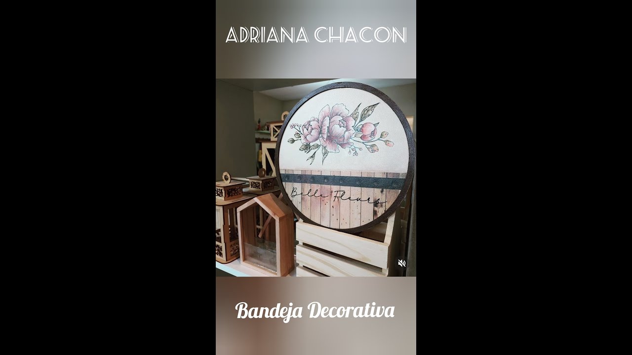 APRENDE A PEGAR LAMINAS DE SEDA, FOLEX Y A PINTAR CON ACRILICOS ACUARELADOS
