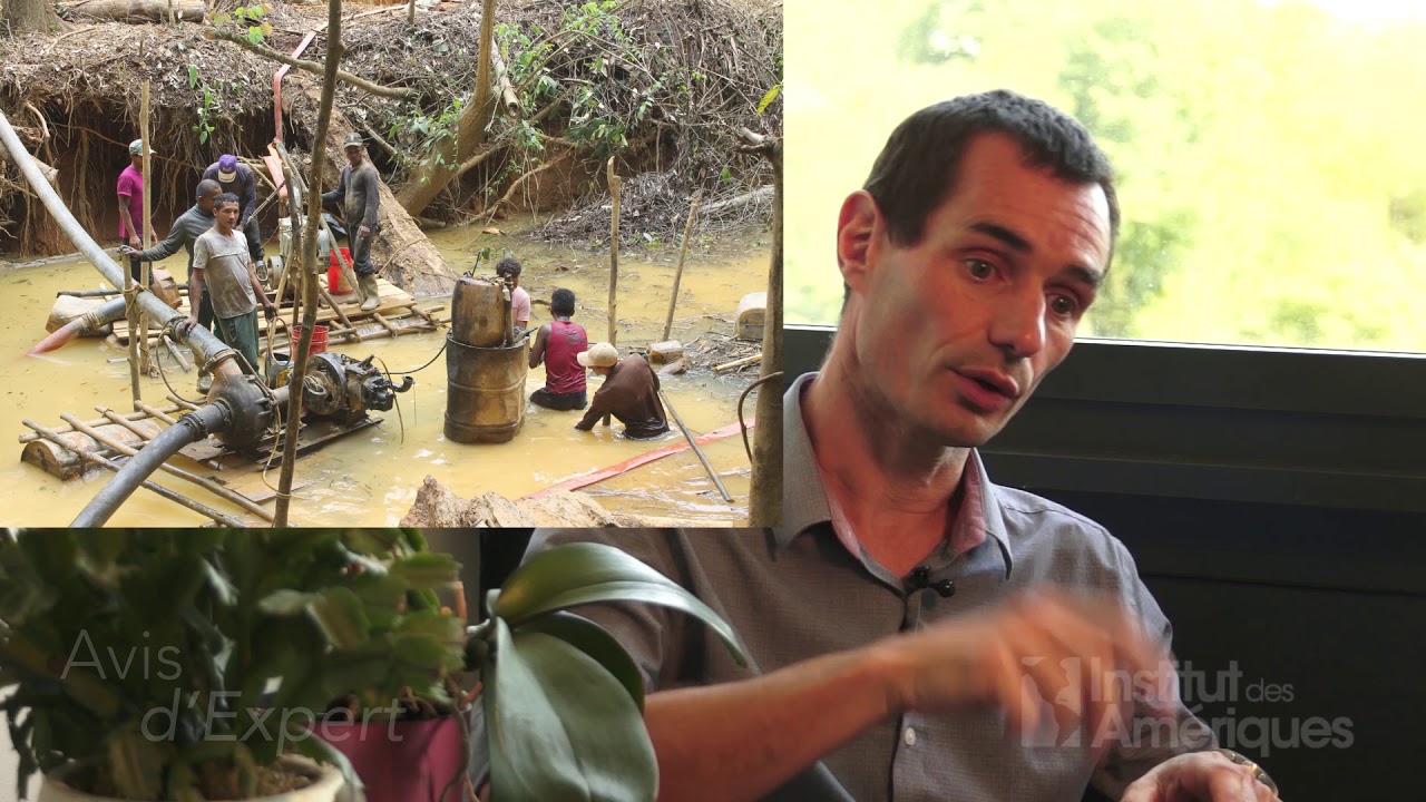 Avis d'expert #9 - L'orpaillage clandestin en Guyane