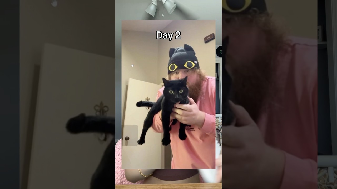 Day 2 of designing a Kitty Pattern! #amigurimi #crochet #caseoh #twitch #crochetpattern #shorts #cat
