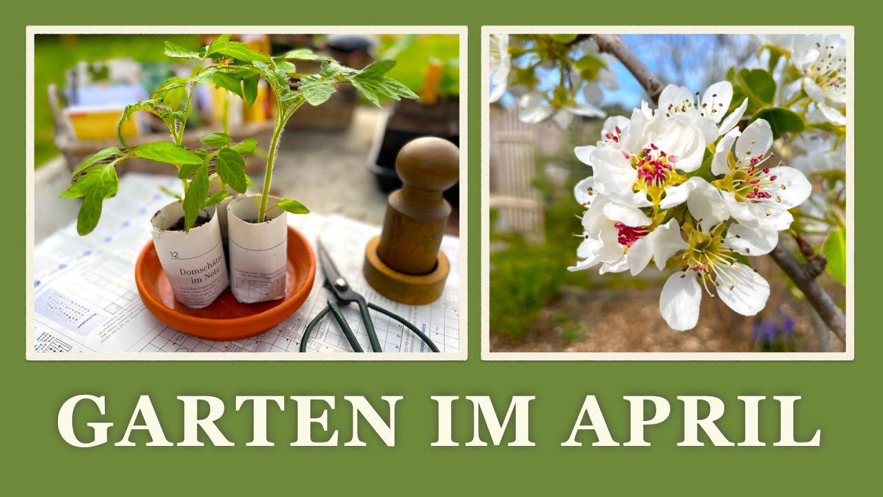 #34 Der Garten im April🥦🥕 Arbeiten im Selbstversorger Garten 🌱🌼🍅