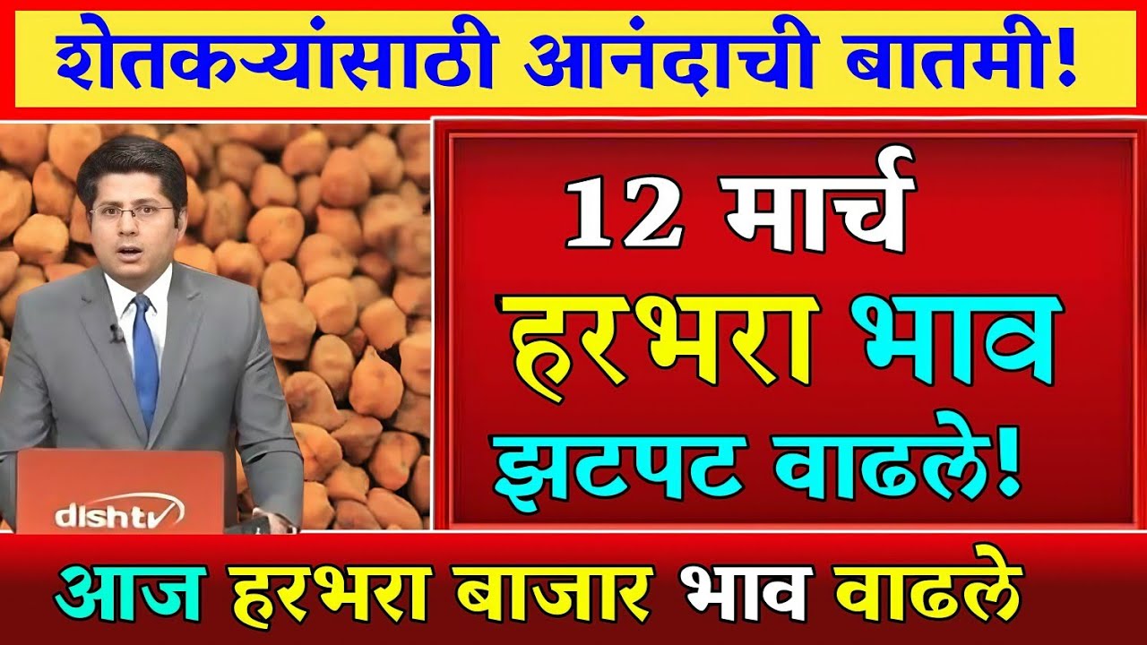 हरभरा दरात मोठी वाढ? पहा आजचे ताजे बाजारभाव | कोणत्या मार्केटमध्ये मिळाला सर्वाधिक दर?